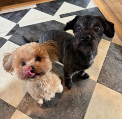 Mabel & Cleo